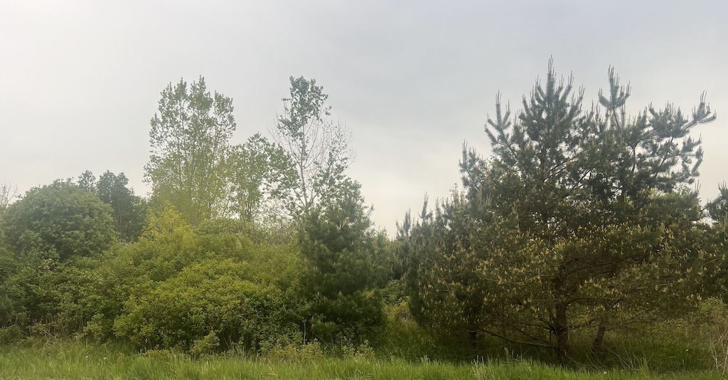 V/L Kingston Rd, Clifford, MI 48727