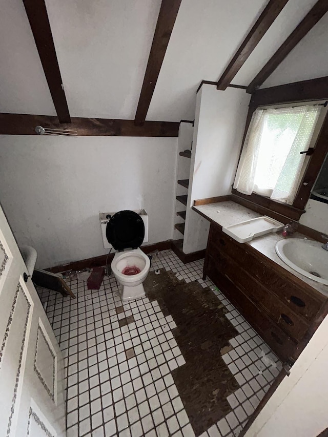 715 Avon St, Flint, MI 48503 - bathroom with a sink and toilet