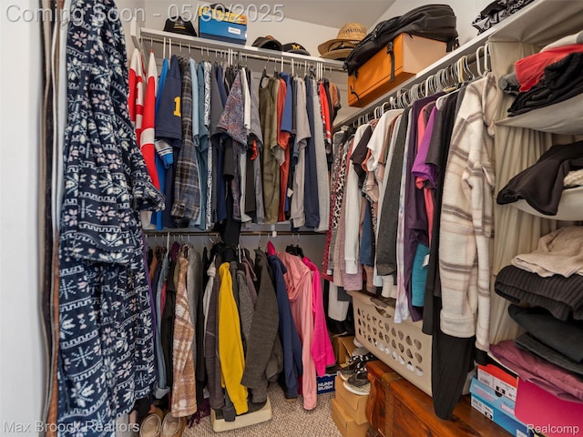6102 Cherry Ridge Dr, Howell, MI 48855 - spacious closet with carpet flooring