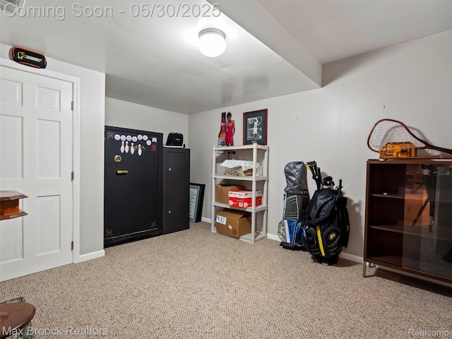 6102 Cherry Ridge Dr, Howell, MI 48855 - carpeted bedroom with baseboards