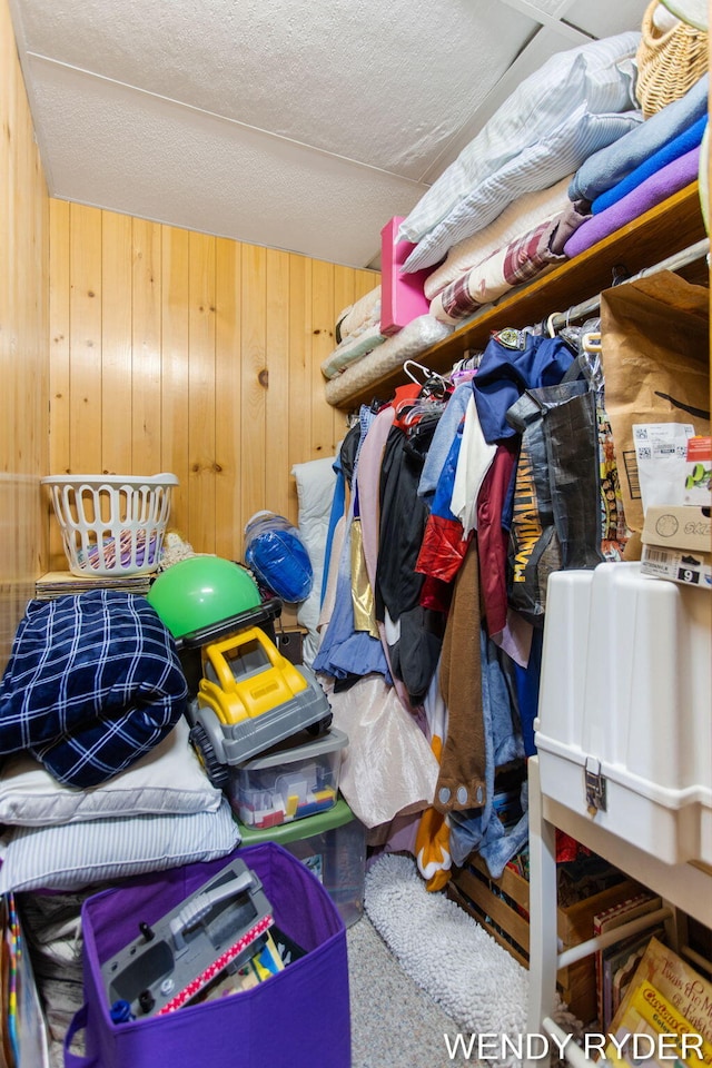 937 Village Ct, Holland, MI 49423 - view of storage