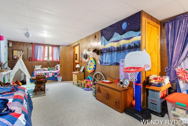 937 Village Ct, Holland, MI 49423 - playroom with wooden walls and carpet floors