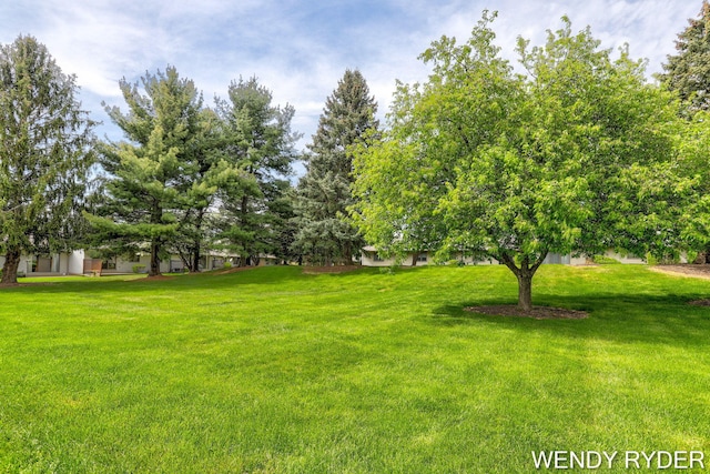 937 Village Ct, Holland, MI 49423 - view of grassy yard