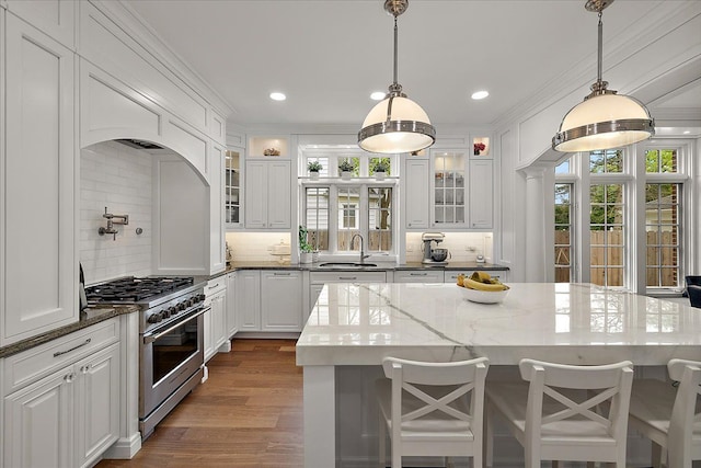 820 Hazel St, Birmingham, MI 48009 - kitchen with high end stainless steel range oven, healthy amount of natural light, ornamental molding, tasteful backsplash, and white cabinets