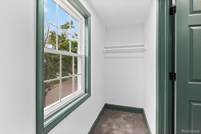15781 Washburn St, Detroit, MI 48238 - spacious closet with carpet floors