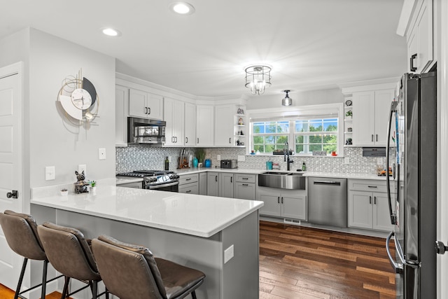 1600 Tuttle Rd, Mason, MI 48854 - kitchen featuring appliances with stainless steel finishes, a peninsula, open shelves, a sink, and dark wood-style flooring