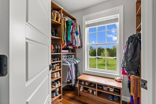 1600 Tuttle Rd, Mason, MI 48854 - spacious closet with wood finished floors