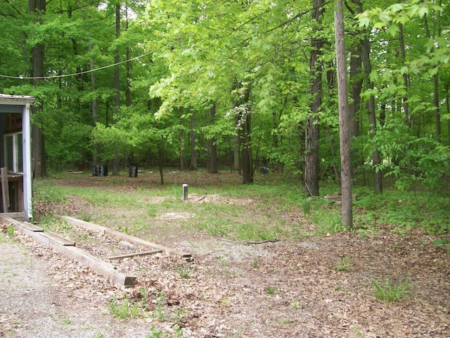 5300 State Rd, Hillsdale, MI 49242 - view of yard with a wooded view