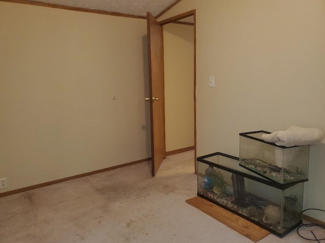5232 E Broadway, Mount Pleasant, MI 48858 - spare room with light carpet and baseboards