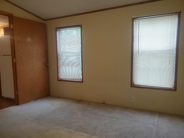 5232 E Broadway, Mount Pleasant, MI 48858 - carpeted empty room featuring crown molding