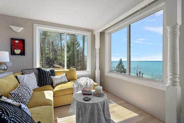 8282 W Harrison Rd, Mears, MI 49436 - living area featuring plenty of natural light, light wood-style flooring, and a water view