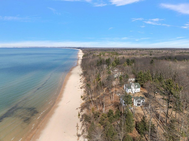 8282 W Harrison Rd, Mears, MI 49436 - aerial overview of property's location with extended coastline