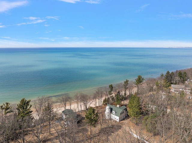 8282 W Harrison Rd, Mears, MI 49436 - water view with nearby beach