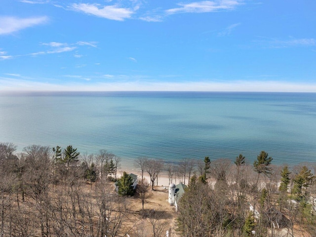 8282 W Harrison Rd, Mears, MI 49436 - water view