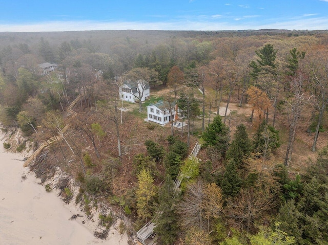 8282 W Harrison Rd, Mears, MI 49436 - aerial view of property and surrounding area featuring a heavily wooded area