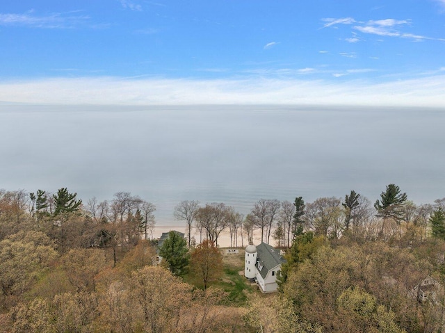8282 W Harrison Rd, Mears, MI 49436 - water view