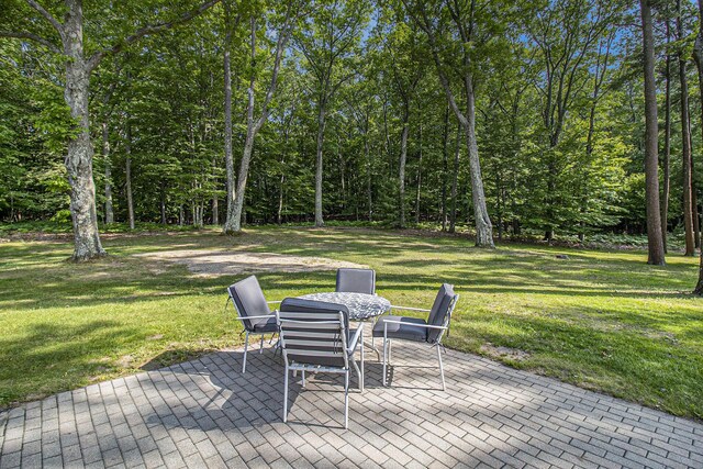 8282 W Harrison Rd, Mears, MI 49436 - photo 96