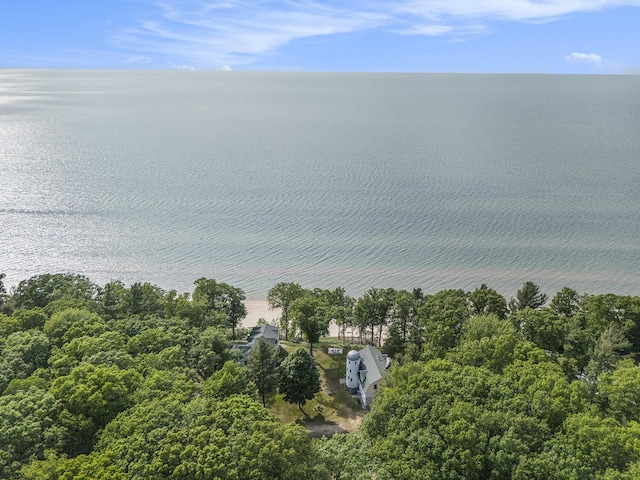 8282 W Harrison Rd, Mears, MI 49436 - photo 104