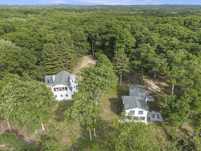 8282 W Harrison Rd, Mears, MI 49436 - photo 107