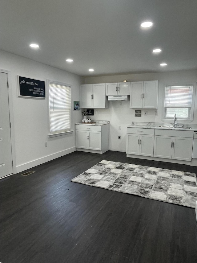 8841 Auburn St, Detroit, MI 48228 - kitchen with a sink, recessed lighting, dark wood-style flooring, healthy amount of natural light, and under cabinet range hood