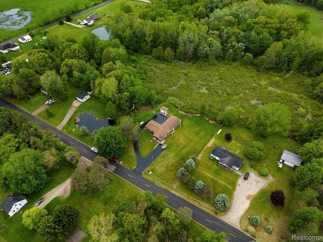 4200 Chapman Rd, Stockbridge, MI 49285 - aerial view of property and surrounding area