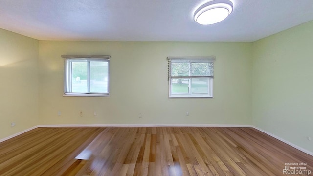 4200 Chapman Rd, Stockbridge, MI 49285 - empty room with healthy amount of natural light, wood finished floors, and baseboards