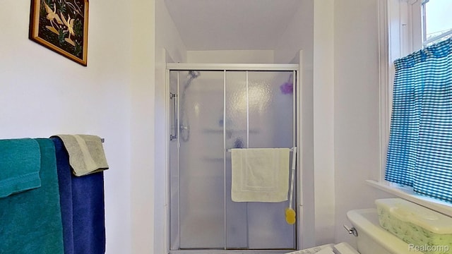 4200 Chapman Rd, Stockbridge, MI 49285 - full bath featuring a shower stall and toilet