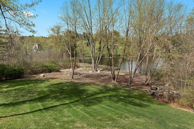 9997 Applegate Ln, Brighton, MI 48114 - view of green lawn with a water view