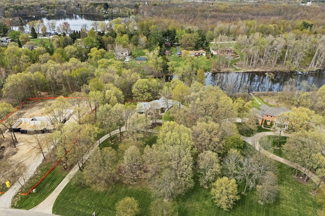 9997 Applegate Ln, Brighton, MI 48114 - aerial overview of property's location with a large body of water