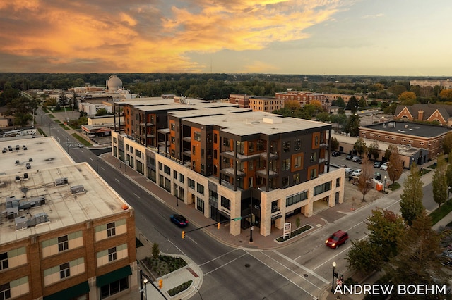 159 S River Ave Unit 503, Holland, MI 49423 - city view