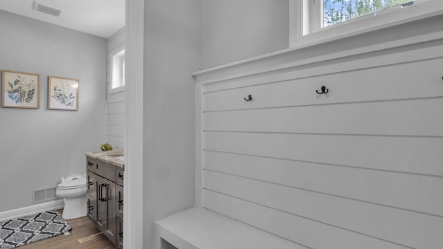 mudroom with dark wood-style floors, plenty of natural light, and baseboards
