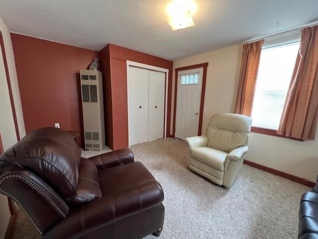 205 Evans St, East Tawas, MI 48730 - living area with a heating unit, carpet floors, and baseboards
