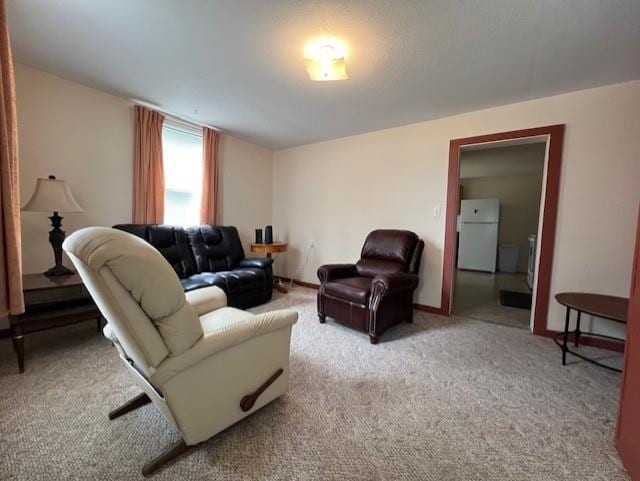 205 Evans St, East Tawas, MI 48730 - view of carpeted living area
