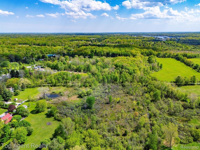 00 W St, Leonard, MI 48367