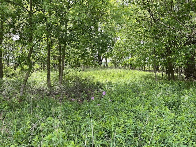 789 7th St, Plainwell, MI 49080 - view of nature