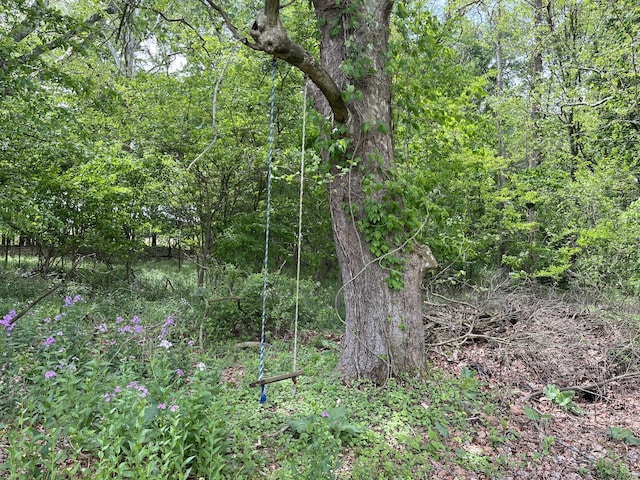 789 7th St, Plainwell, MI 49080 - view of wooded area