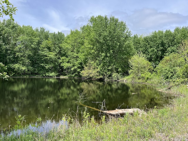789 7th St, Plainwell, MI 49080 - water view with a forest
