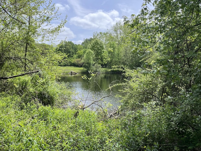 789 7th St, Plainwell, MI 49080 - water view featuring a heavily wooded area