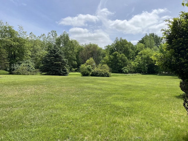 789 7th St, Plainwell, MI 49080 - view of grassy yard