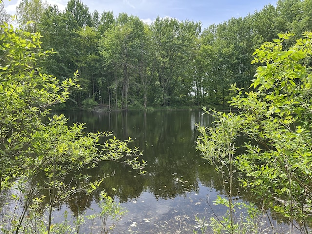 789 7th St, Plainwell, MI 49080 - water view