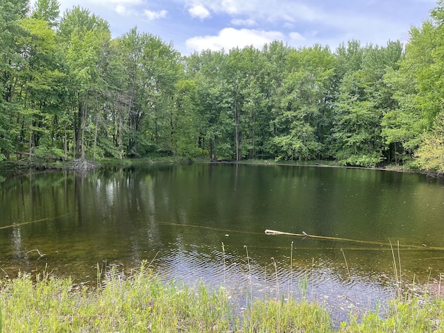 789 7th St, Plainwell, MI 49080 - water view featuring a forest