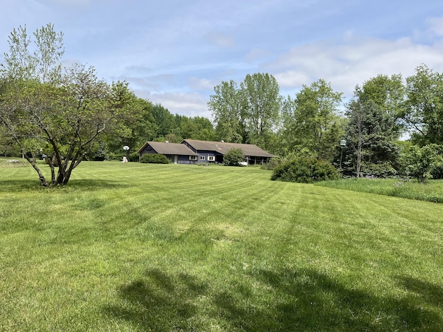 789 7th St, Plainwell, MI 49080 - view of green lawn