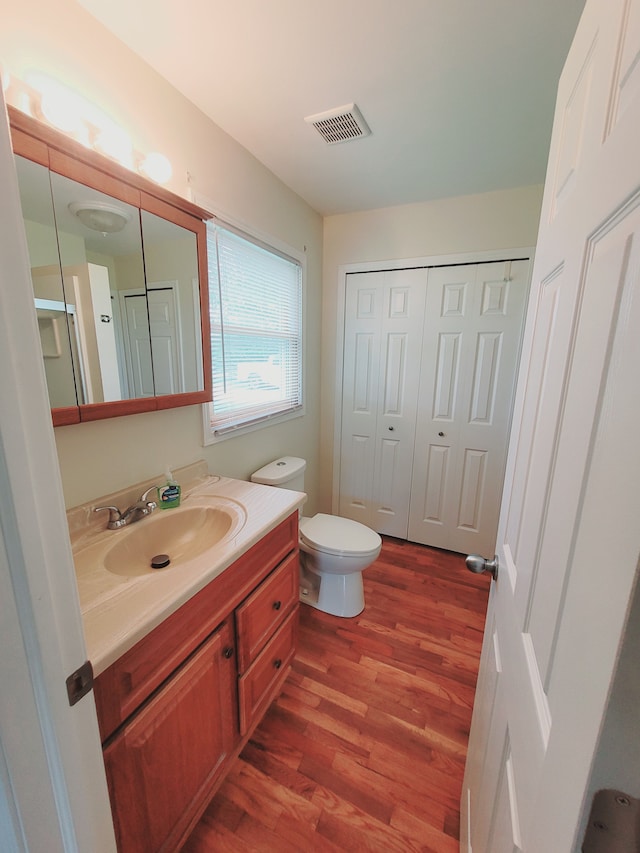 1082 Morris Rd, Lapeer, MI 48446 - bathroom featuring wood finished floors, vanity, and toilet