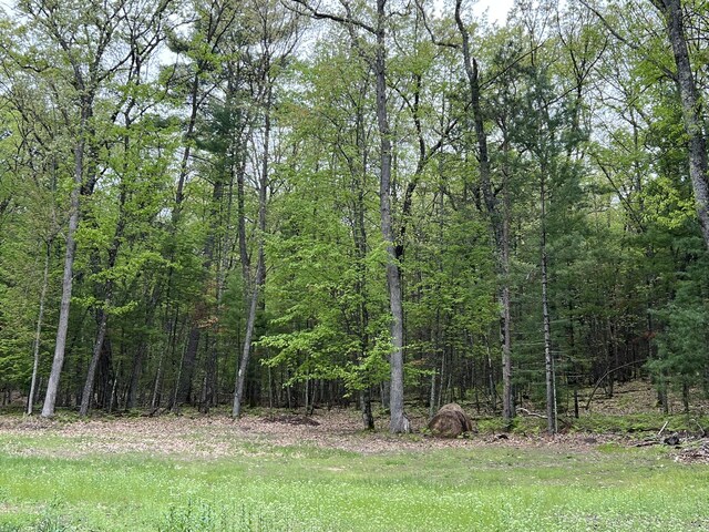8711 M-37, Irons, MI 49644 - view of tree filled area