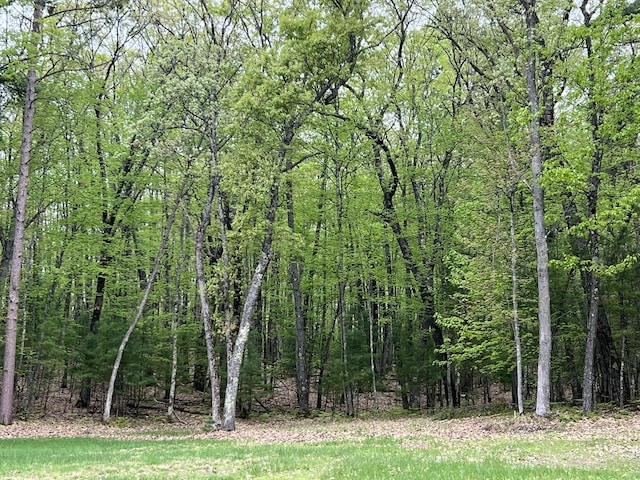 8711 M-37, Irons, MI 49644 - view of tree filled area