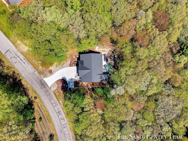 bird's eye view of a forest