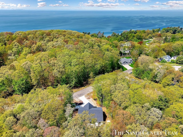 bird's eye view of a heavily wooded area and a large body of water