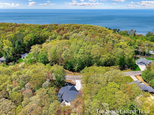 drone / aerial view of a forest and a nearby body of water
