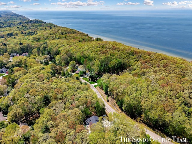 view of property location featuring a heavily wooded area and a nearby body of water