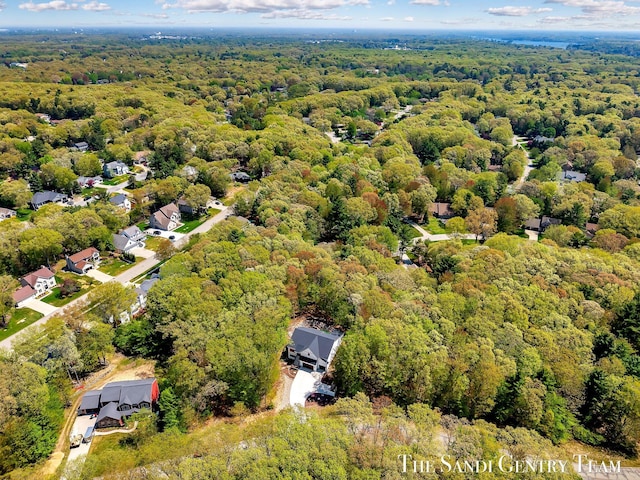 drone / aerial view of a forest